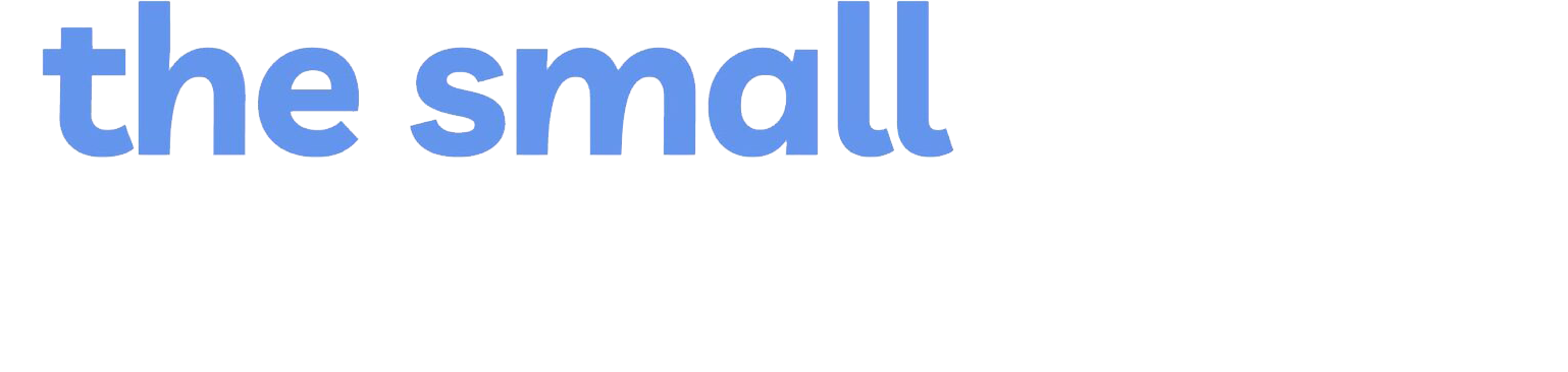 The Small Biz Academy Logo